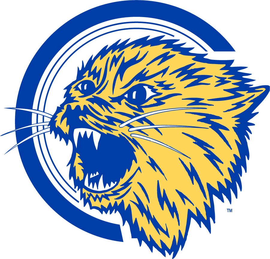 Montana State Bobcats 1965-1995 Alternate Logo iron on transfers for clothing